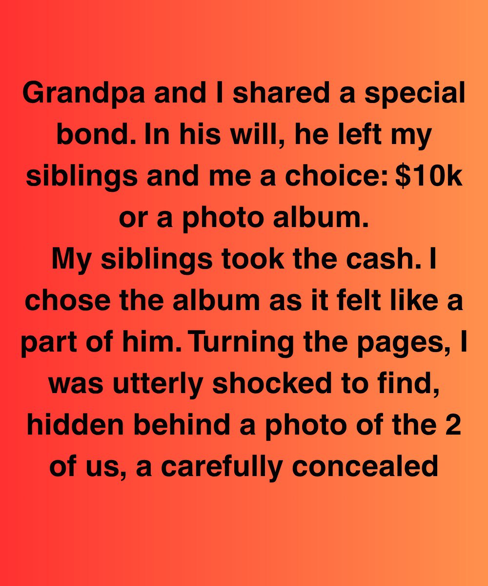 My SIL Said It Was “A Kid Paradise”—But My Daughter’s Text Told A Different Story #5