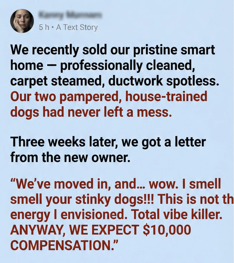 Our pampered pups never made a mess — but apparently, they left a $10K “scent.”