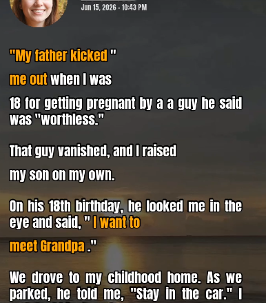 It wasn’t just ‘kicked me out.’ It was a cold, brutal expulsion, delivered with the precision of a surgeon’